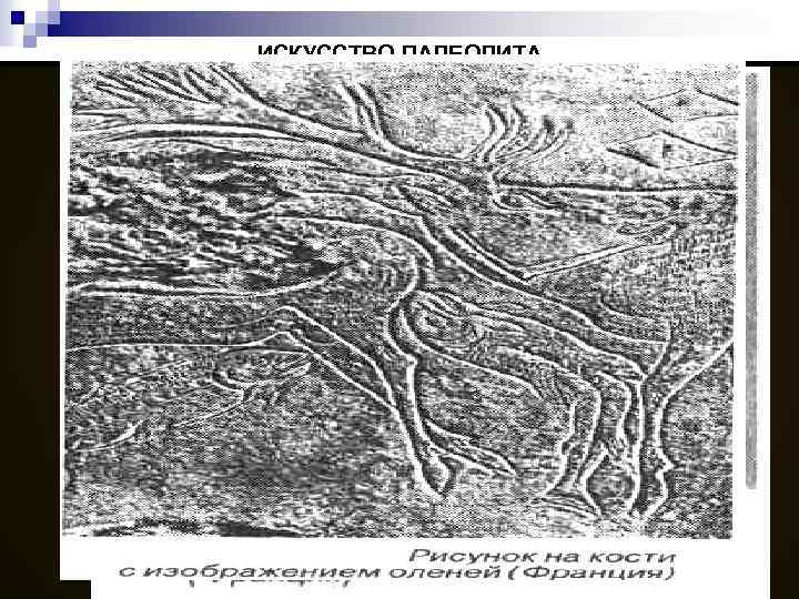 ИСКУССТВО ПАЛЕОЛИТА 