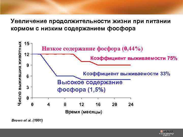 Число выживших животных Увеличение продолжительности жизни при питании кормом с низким содержанием фосфора 15