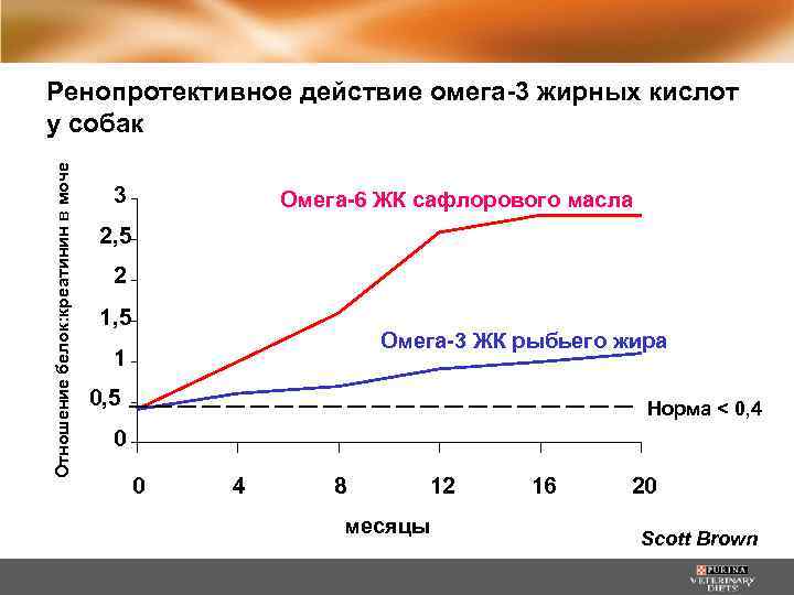 Отношение белок: креатинин в моче Ренопротективное действие омега-3 жирных кислот у собак 3 Омега-6