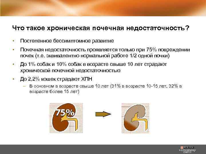 Что такое хроническая почечная недостаточность? ▪ Постепенное бессимптомное развитие ▪ Почечная недостаточность проявляется только