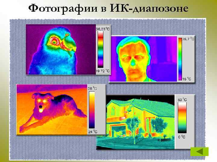 Фотографии в ИК-диапозоне 