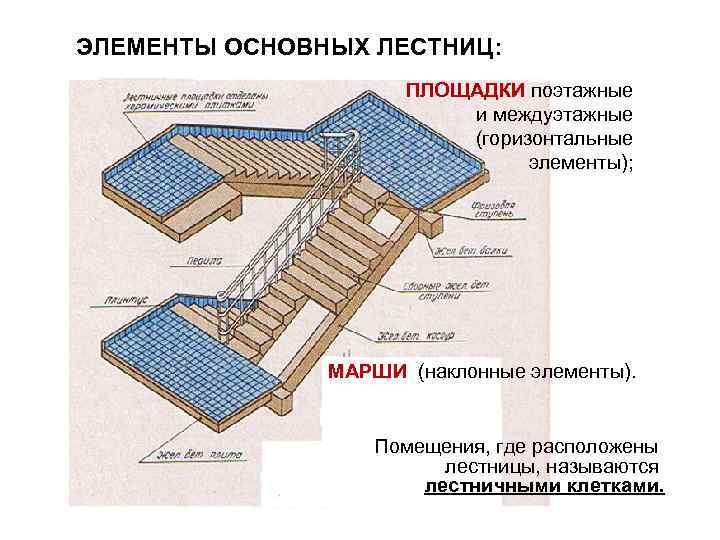 Назовите ступени