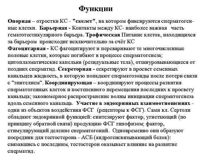 Функции Опорная – отростки КС - "скелет", на котором фиксируются сперматогенные клетки. Барьерная -