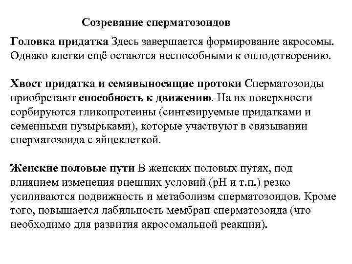Созревание сперматозоидов Головка придатка Здесь завершается формирование акросомы. Однако клетки ещё остаются неспособными к