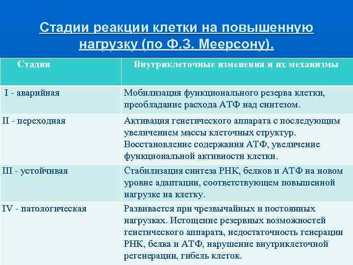 Стадии реакции клетки на повышенную нагрузку (по Ф. З. Меерсону). Стадии Внутриклеточные изменения и