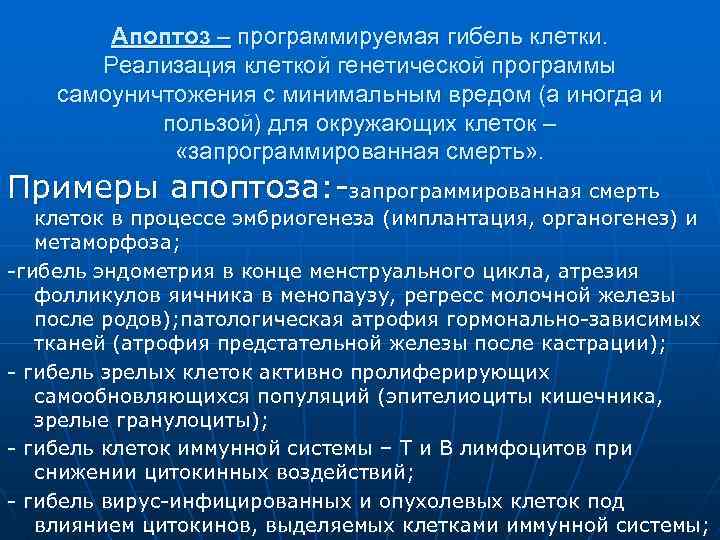 Апоптоз – программируемая гибель клетки. Реализация клеткой генетической программы самоуничтожения с минимальным вредом (а