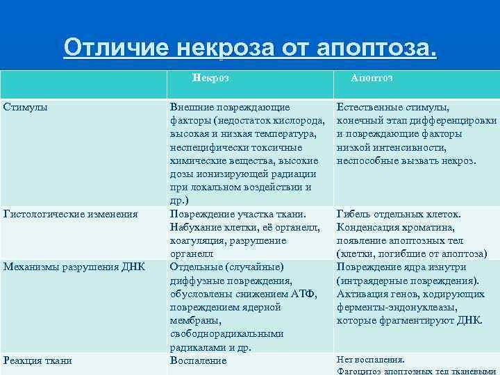 Отличие некроза от апоптоза. Некроз Стимулы Гистологические изменения Механизмы разрушения ДНК Реакция ткани Внешние