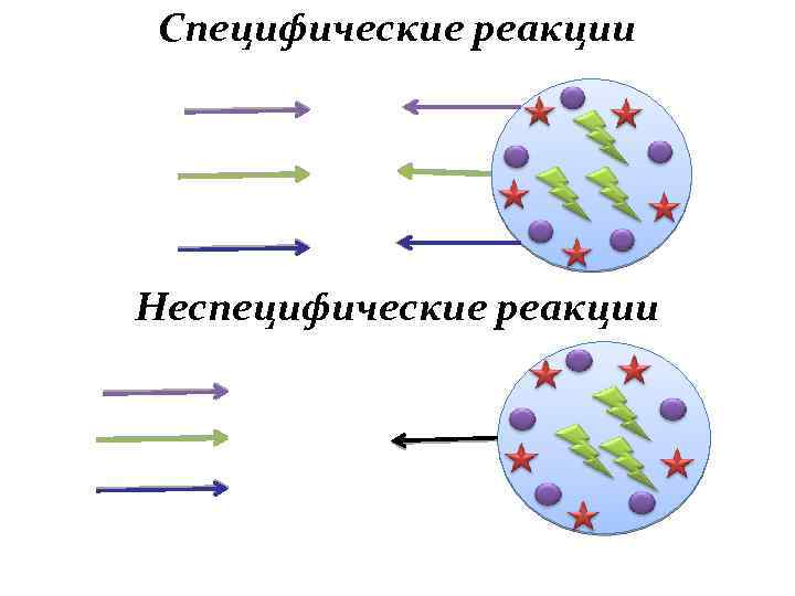 Специфические реакции Неспецифические реакции 