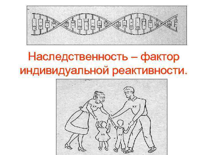 Наследственность – фактор индивидуальной реактивности. 