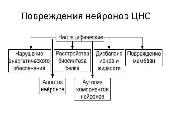 Повреждения нейронов ЦНС 