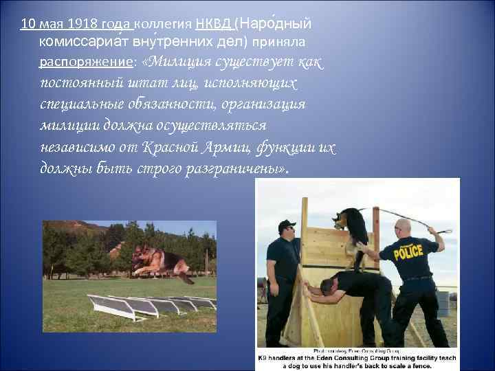 10 мая 1918 года коллегия НКВД (Наро дный комиссариа т вну тренних дел) приняла