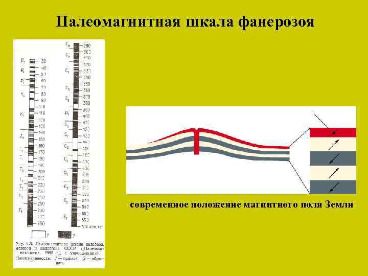 Палеомагнитная шкала фанерозоя современное положение магнитного поля Земли 