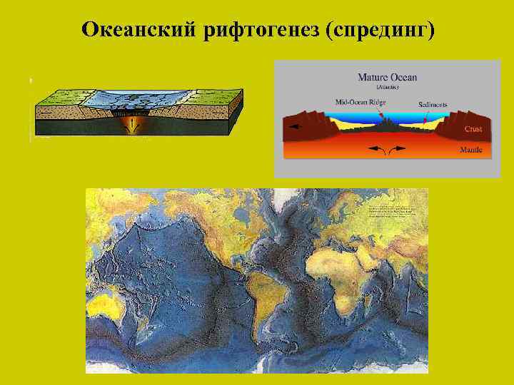 Океанский рифтогенез (спрединг) 