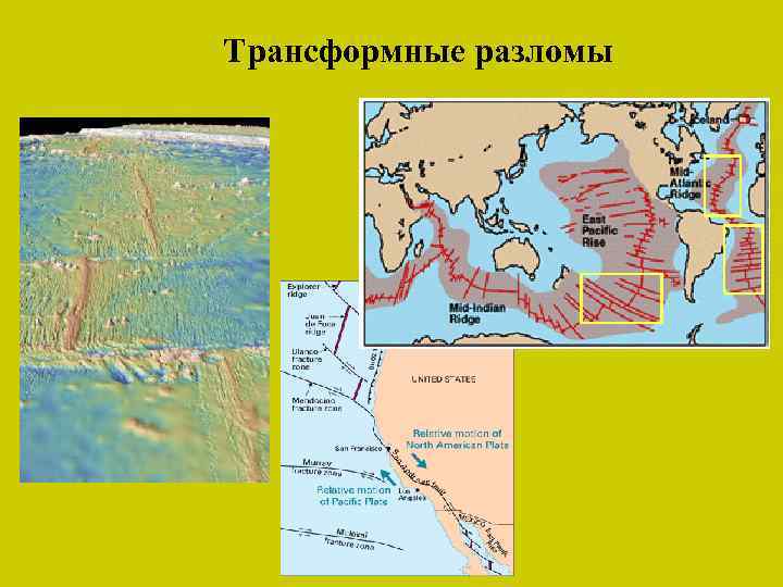 Границы литосферных плит и земная кора дивергентные конвергентные границы границы океаническая кора континентальная кора
