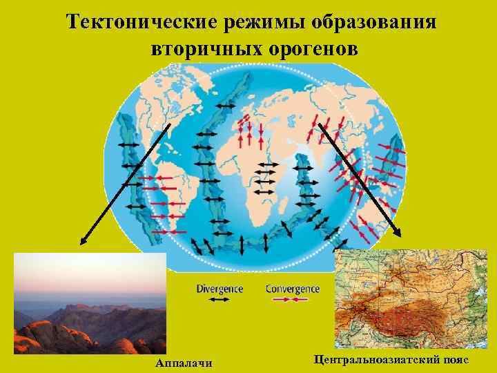 Тектонические режимы образования вторичных орогенов Аппалачи Центральноазиатский пояс 