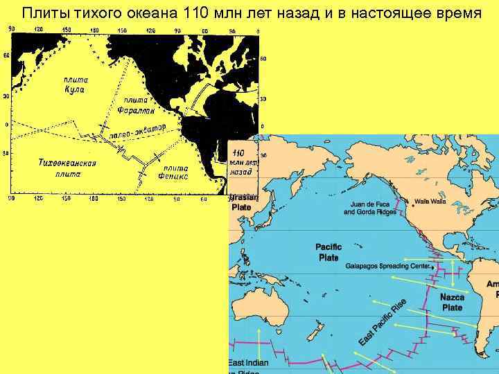 Плиты тихого океана 110 млн лет назад и в настоящее время 