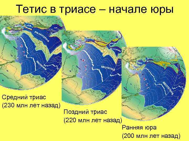 Тетис в триасе – начале юры Средний триас (230 млн лет назад) Поздний триас