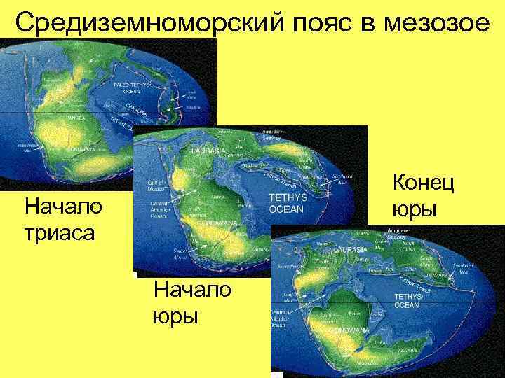 Средиземноморский пояс в мезозое Конец юры Начало триаса Начало юры 