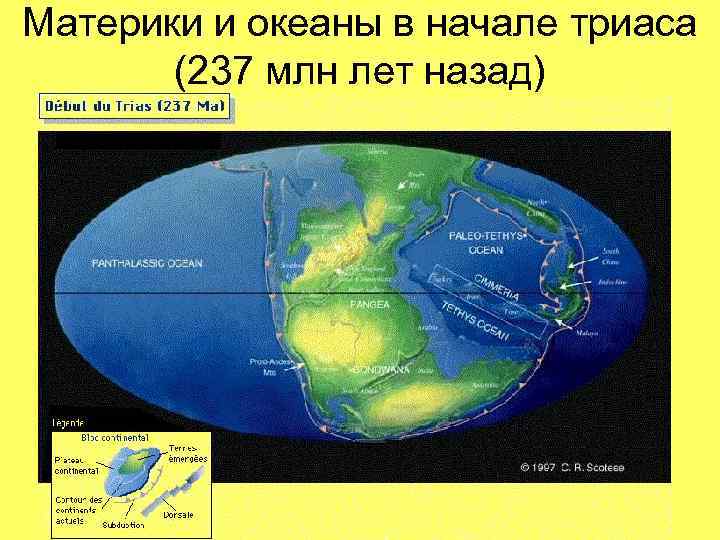 Материки и океаны в начале триаса (237 млн лет назад) 