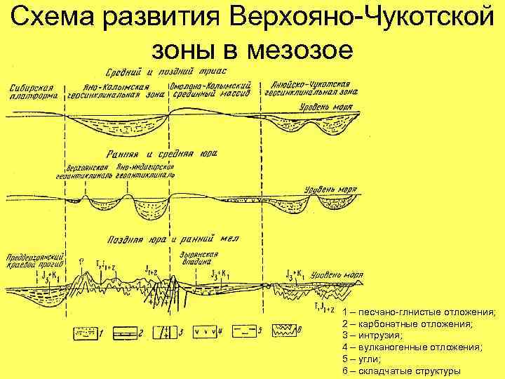 Схема развития Верхояно-Чукотской зоны в мезозое 1 – песчано-глнистые отложения; 2 – карбонатные отложения;