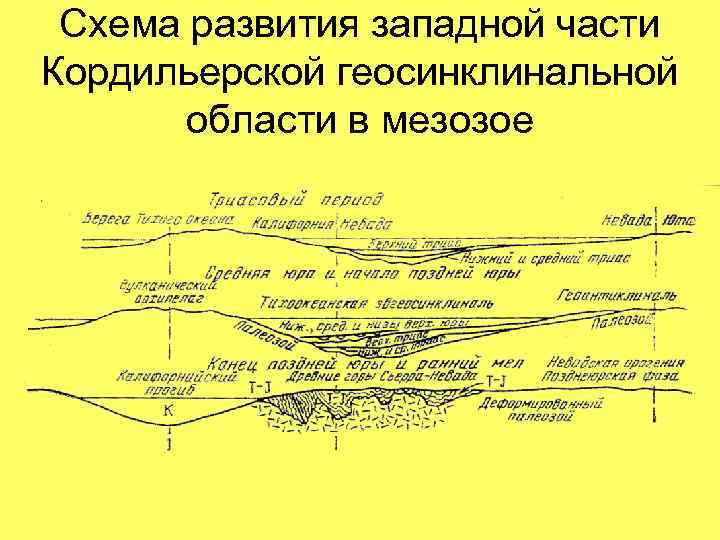 Схема развития западной части Кордильерской геосинклинальной области в мезозое 