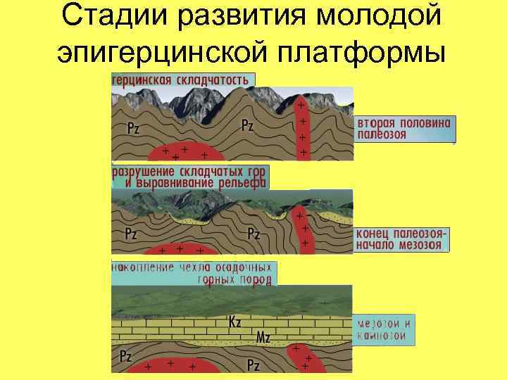Стадии развития молодой эпигерцинской платформы 