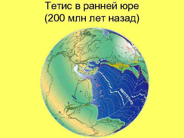 Тетис в ранней юре (200 млн лет назад) 