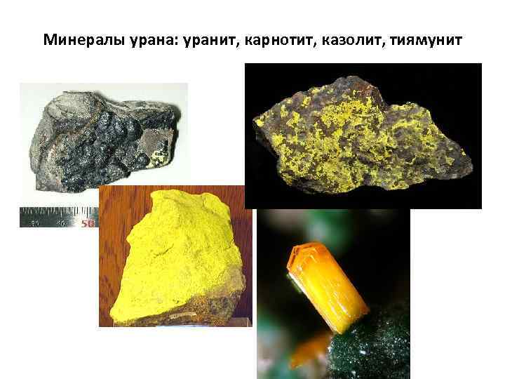 Минералы урана: уранит, карнотит, казолит, тиямунит 