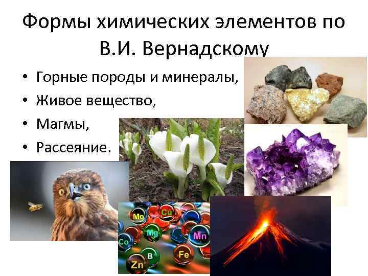 Формы химических элементов по В. И. Вернадскому • • Горные породы и минералы, Живое