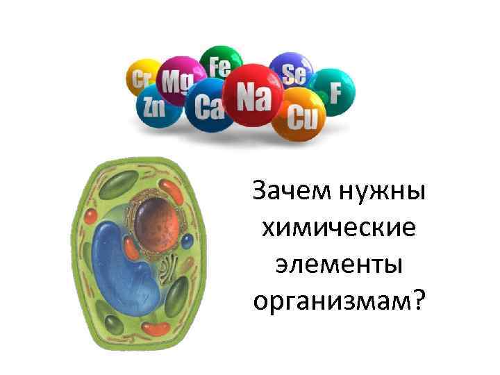 Зачем нужны химические элементы организмам? 