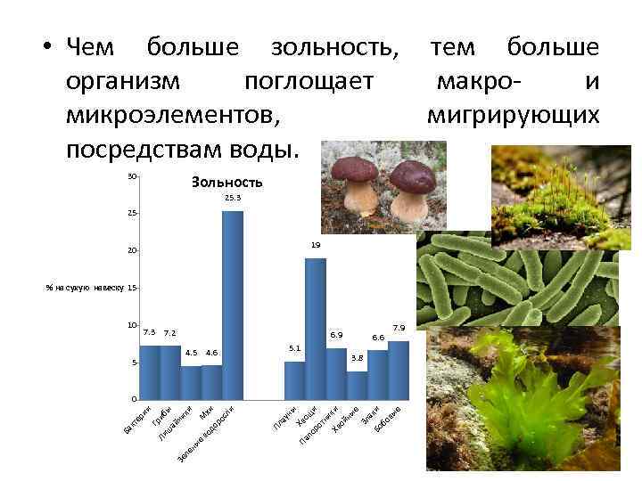  • Чем больше зольность, тем больше организм поглощает макрои микроэлементов, мигрирующих посредствам воды.
