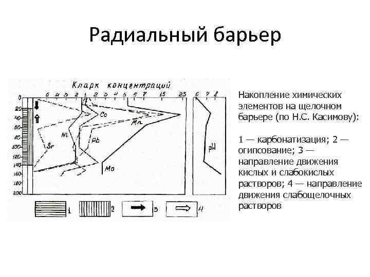 Радиальный барьер Накопление химических элементов на щелочном барьере (по Н. С. Касимову): 1 —