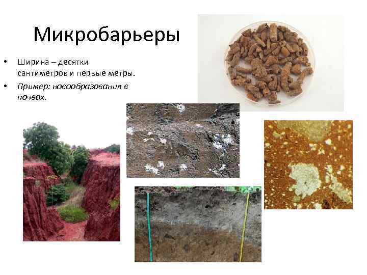 Микробарьеры • • Ширина – десятки сантиметров и первые метры. Пример: новообразования в почвах.