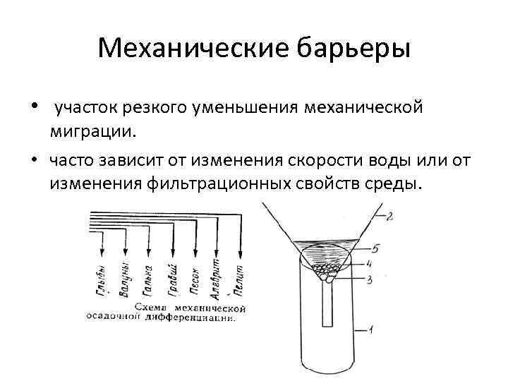 Механические барьеры • участок резкого уменьшения механической миграции. • часто зависит от изменения скорости