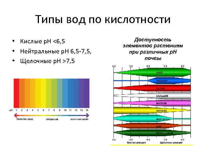Типы вод по кислотности • Кислые р. Н <6, 5 • Нейтральные p. H