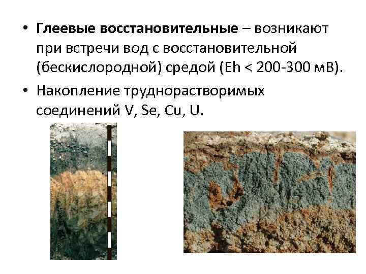  • Глеевые восстановительные – возникают при встречи вод с восстановительной (бескислородной) средой (Eh