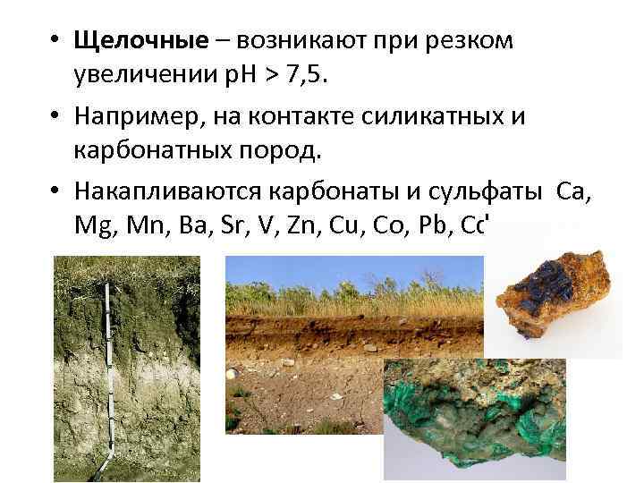  • Щелочные – возникают при резком увеличении р. Н > 7, 5. •