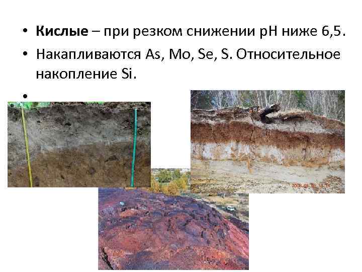  • Кислые – при резком снижении р. Н ниже 6, 5. • Накапливаются