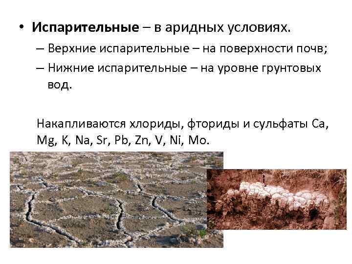  • Испарительные – в аридных условиях. – Верхние испарительные – на поверхности почв;