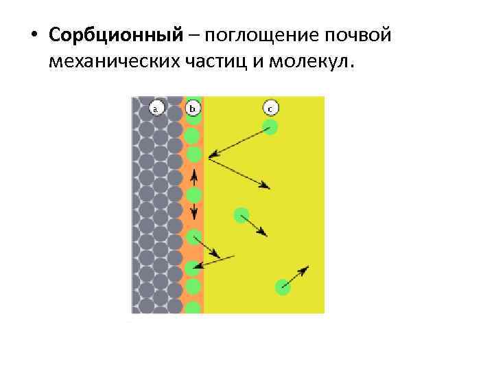  • Сорбционный – поглощение почвой механических частиц и молекул. 