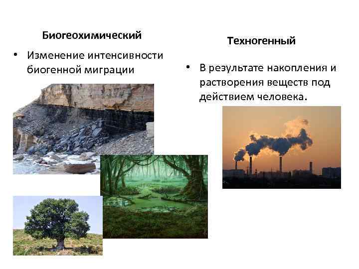 Биогеохимический • Изменение интенсивности биогенной миграции Техногенный • В результате накопления и растворения веществ