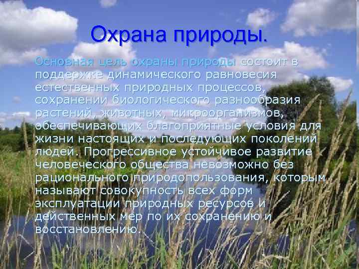 Охрана природы. Основная цель охраны природы состоит в поддержке динамического равновесия естественных природных процессов,