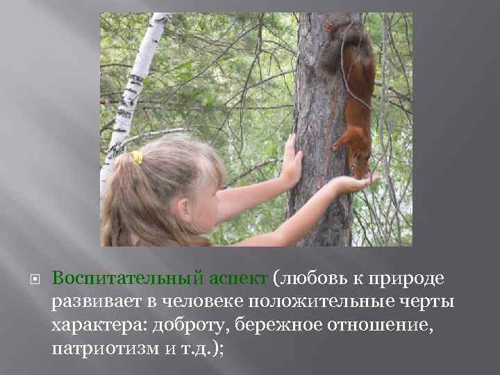  Воспитательный аспект (любовь к природе развивает в человеке положительные черты характера: доброту, бережное