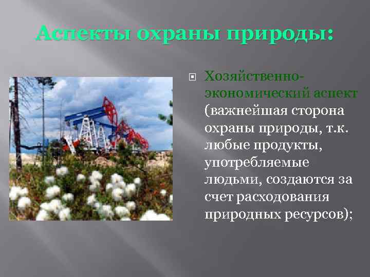 Аспекты охраны природы: Хозяйственноэкономический аспект (важнейшая сторона охраны природы, т. к. любые продукты, употребляемые