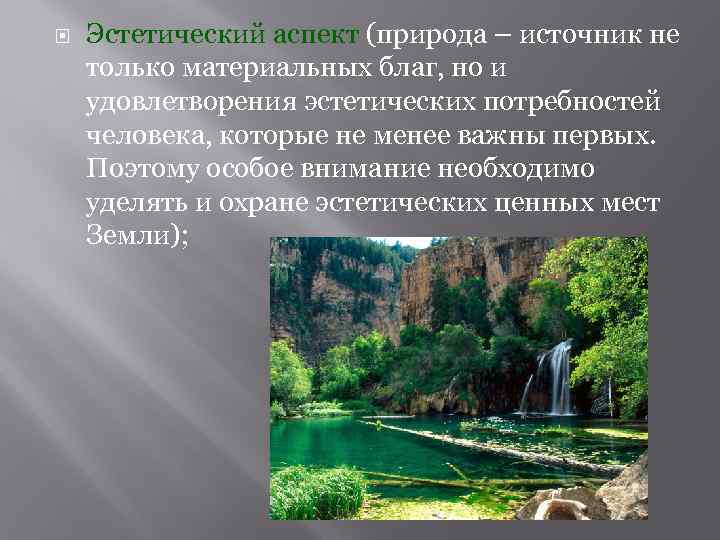  Эстетический аспект (природа – источник не только материальных благ, но и удовлетворения эстетических