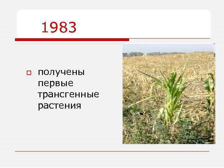 1983 o получены первые трансгенные растения 