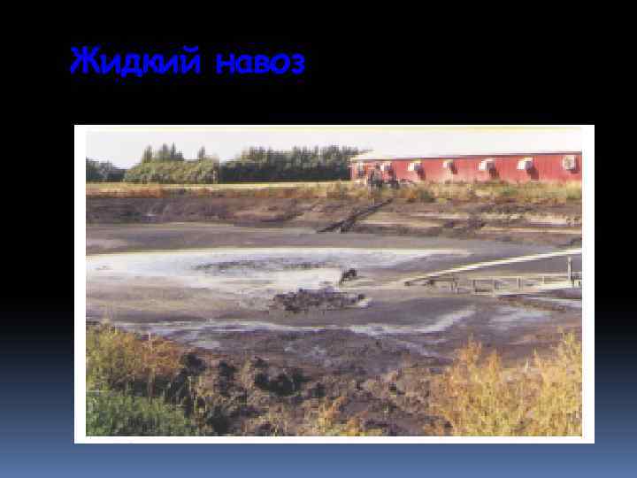 Жидкий навоз 
