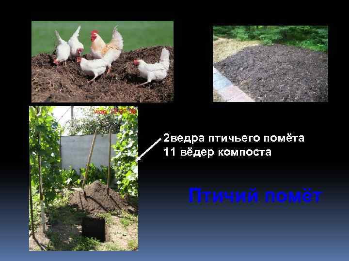 2 ведра птичьего помёта 11 вёдер компоста Птичий помёт 