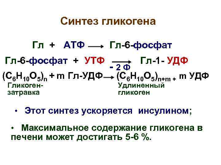 Синтез гликогена Гл + АТФ Гл-6 -фосфат + УТФ (С 6 Н 10 О