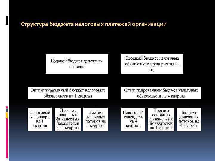 Структура бюджета налоговых платежей организации 